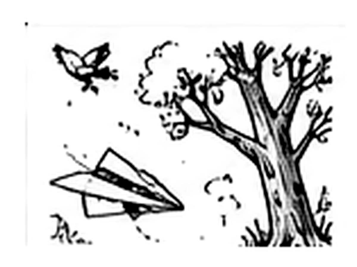 The Paper Plane