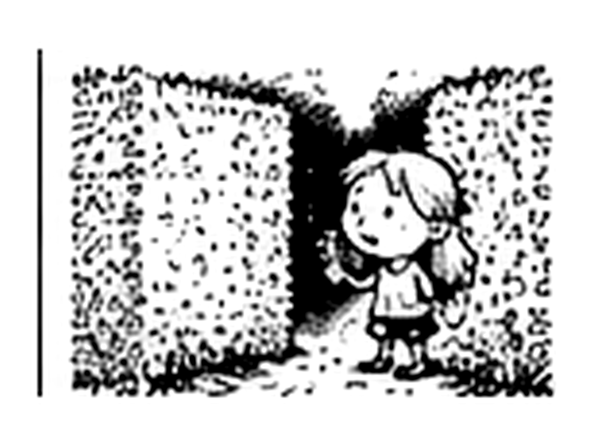 The Hedge