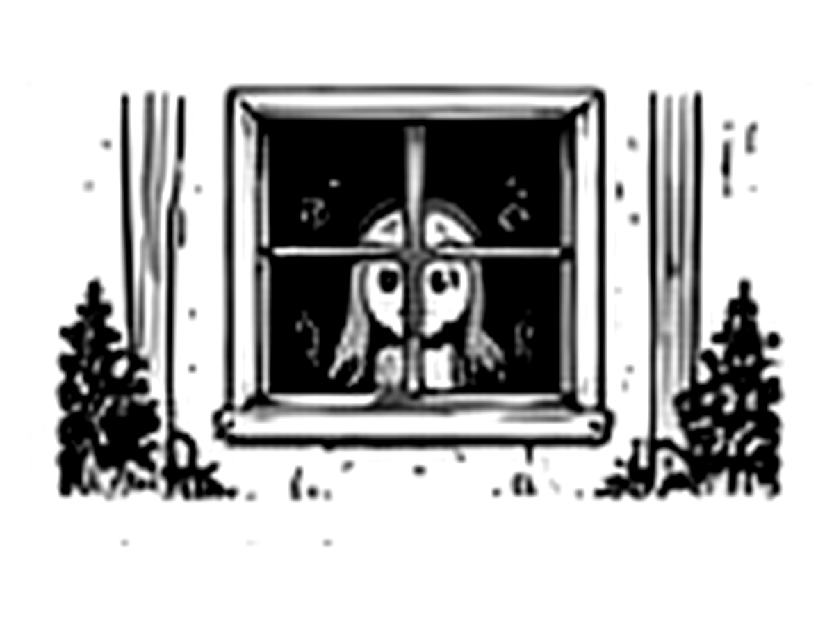 The Window