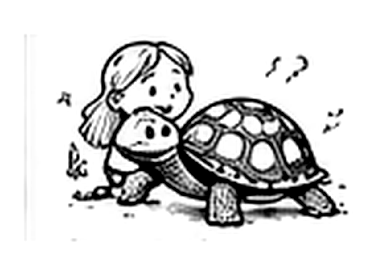 The Pet Turtle