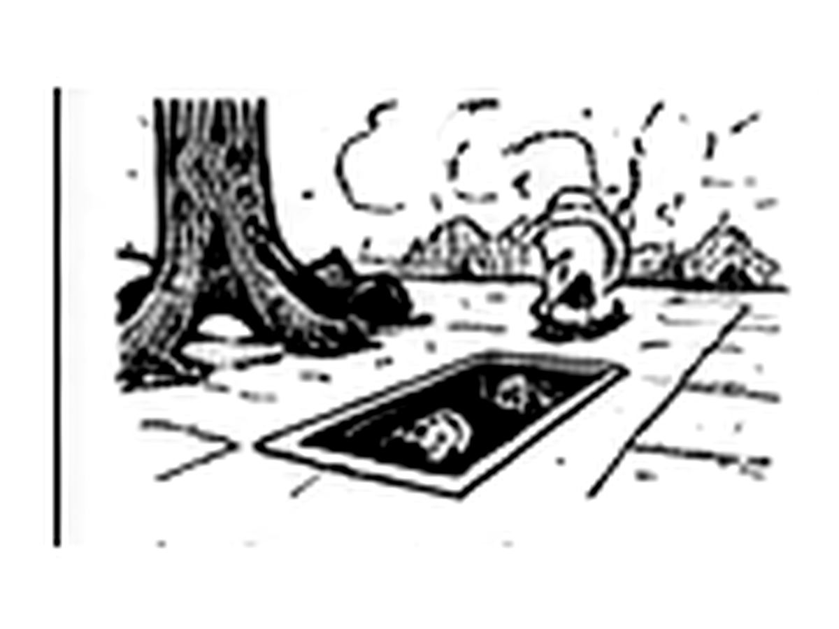 The Storm Drain